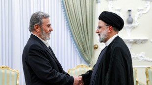 Top Palestinian militants hold talks in Iran