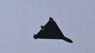 Zelensky says 11 countries asking Ukraine for drone help against Iran