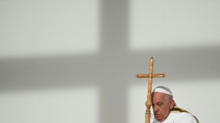 El papa condena un uso "inmoral" de la fuerza en L&iacute;bano y Gaza