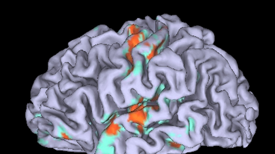 Cervello, pronto l'atlante della 'centralina' che controlla i movimenti