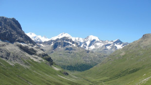 Seen from space, the snow-capped Alps are going green