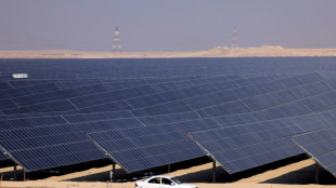 Emirate weihen vor Klimakonferenz COP28 eine der weltweit gr&ouml;&szlig;ten Solaranlagen ein