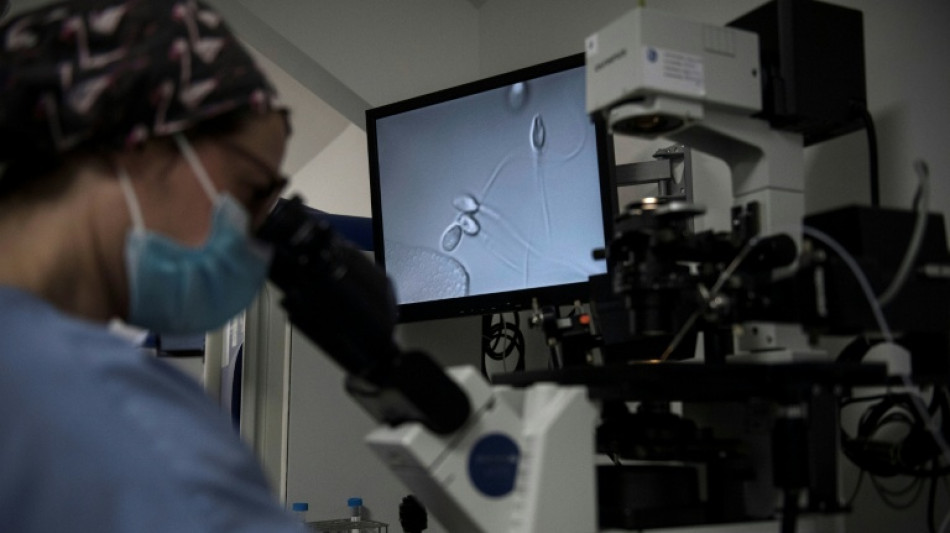 La question de la PMA post-mortem de nouveau devant la justice