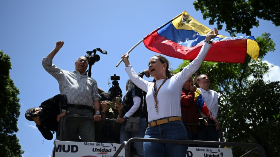 Oposici&oacute;n venezolana advierte de una "ola migratoria" si Maduro sigue en el poder