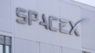 SpaceX annonce vouloir construire une gigantesque base spatiale en Louisiane
