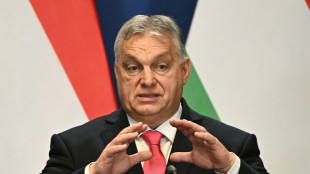 Orban: Ungarns Regierung "unterst&uuml;tzt Nato-Mitgliedschaft Schwedens"