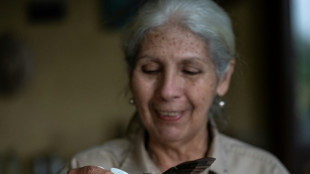 Birdwatchers' hearts flutter for Global Big Day