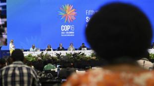 El "fracaso" de la paz en Colombia aumenta la deforestaci&oacute;n, seg&uacute;n una ONG