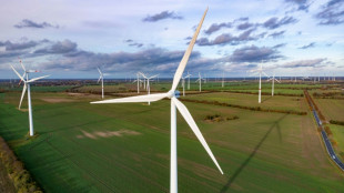 Un balisage cibl&eacute; des &eacute;oliennes peut prot&eacute;ger les chauves-souris