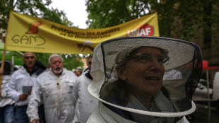 Des apiculteurs manifestent contre les pesticides à Toulouse et Bordeaux