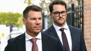 Australian cricketer Warner ordered to use breathalyser vehicle lock 