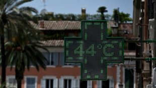 L'h&eacute;misph&egrave;re nord aborde le pic des vagues de chaleur