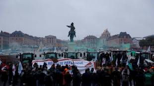 Deuxième jour de mobilisation agricole contre des importations jugées "déloyales"