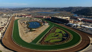 Favorite Sovereignty could miss Breeders' Cup Classic after fever