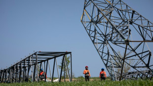 Canicule: les salari&eacute;s de RTE exercent leur "droit d'alerte" sur les infrastructures