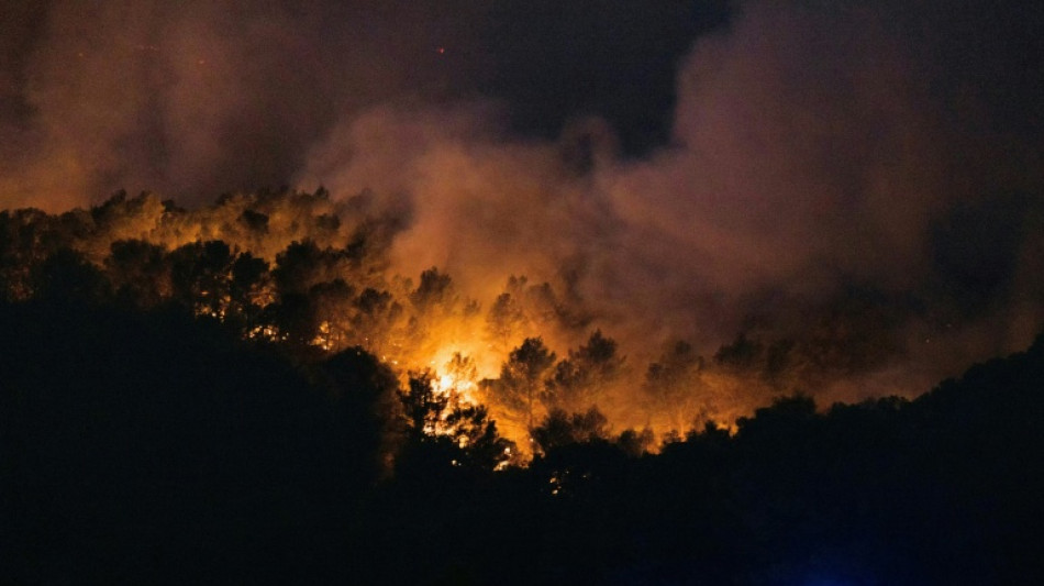 One dead, nine injured in wildfire in southern France