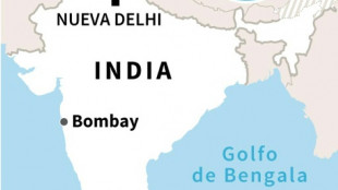 Siete obreros muertos en un accidente en un t&uacute;nel en construcci&oacute;n en India