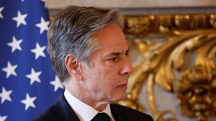 Estados Unidos trabaja "d&iacute;a tras d&iacute;a" para impedir la transferencia de armas a Rusia