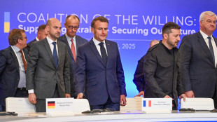 Zelensky, 'piano d'azione in 4 punti, Trump è d'accordo'