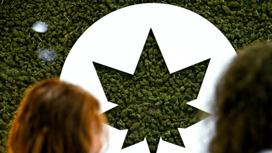 Les "bad trips" au CBD trafiqu&eacute; inqui&egrave;tent les autorit&eacute;s