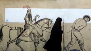 Liberada bajo fianza la artista iran&iacute; que cant&oacute; sin velo