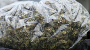 California permitir&aacute; caf&eacute;s dedicados al cannabis, como en Pa&iacute;ses Bajos