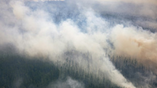 M&aacute;s de un mill&oacute;n de hect&aacute;reas de bosques se incendiaron en Rusia