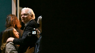 Assange ofrecer&aacute; en octubre ante el Consejo de Europa su primer discurso desde su liberaci&oacute;n