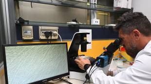 Fabbriche di proteine in un virus gigante