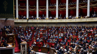 Ukraine: un d&eacute;bat mouvement&eacute; attendu &agrave; l'Assembl&eacute;e, en pleine campagne europ&eacute;enne