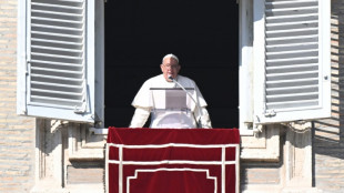 El papa pide una investigaci&oacute;n sobre el "genocidio" en Gaza