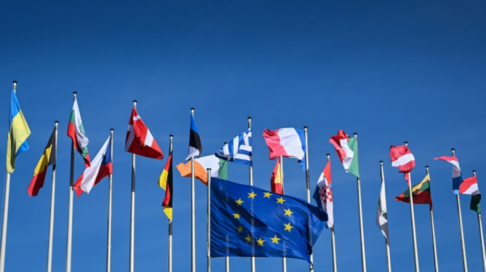 Le nouveau Parlement europ&eacute;en &agrave; l'oeuvre, l'extr&ecirc;me droite donne de la voix