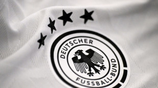 Entsetzte Politiker wegen DFB-Entscheidung f&uuml;r Nike statt Adidas