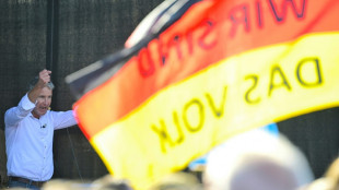 L'extr&ecirc;me droite en qu&ecirc;te de scores historiques dans l'est de l'Allemagne