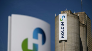 El gigante suizo Holcim adquiere la participaci&oacute;n mayoritaria en la peruana Cementos Pacasmayo