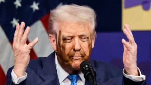 AfD-Antrag gescheitert: Kreistag Bad Dürkheim gegen Ehrenbürgerschaft für Trump