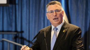 Israel considera "muy bajo" el n&uacute;mero de detenciones por los altercados en &Aacute;msterdam