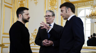 Media,Macron pronto a rappresentare Europa in colloqui con Putin
