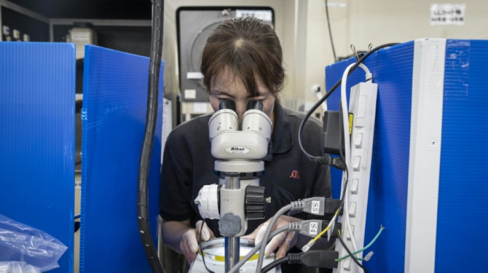 Se diversifier pour survivre: au Japon, des PME prêtes à s'adapter face à la tempête Trump