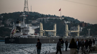 Reuni&oacute;n ONU-Rusia el viernes por las exportaciones de granos y fertilizantes