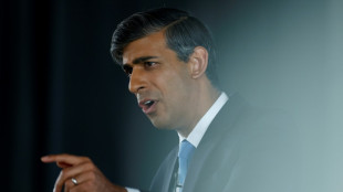 El primer ministro conservador brit&aacute;nico promete una bajada de impuestos en su programa electoral