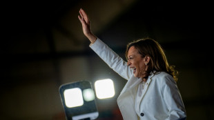 &iquest;Podr&aacute; Harris recuperar el crucial voto musulm&aacute;n en Michigan?