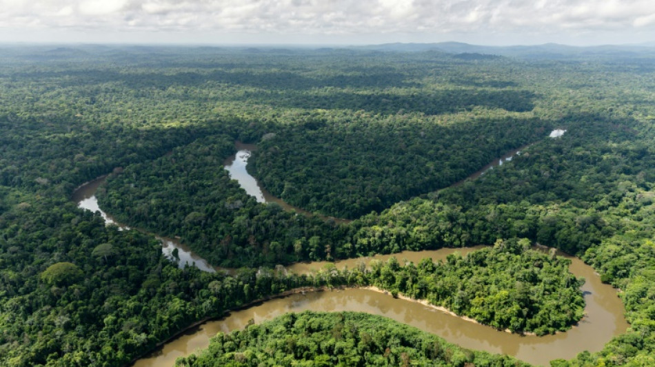 Rainforest villages in French Guiana cut off by loss of airline