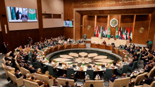 Arab League slams Israel siege of Gaza, demands aid for Gazans