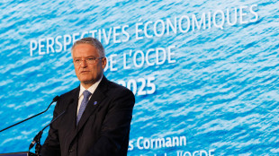 Ocse, Pil mondiale giù al 3,2% in 2025, 2,9% in 2026