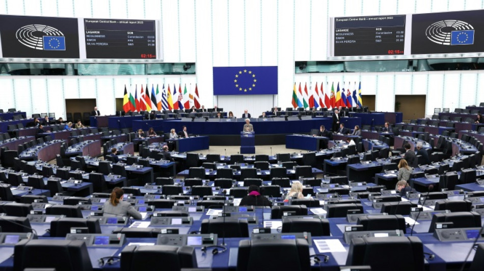 Los eurodiputados aprueban una protecci&oacute;n a periodistas y activistas contra la intimidaci&oacute;n judicial