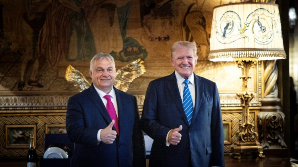 Confort&eacute; par le succ&egrave;s "&eacute;clatant" de Trump, Orban re&ccedil;oit l'UE en Hongrie