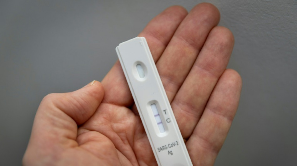 Knapp 40 Prozent der Betriebe im Januar von Arbeitsausf&auml;llen betroffen