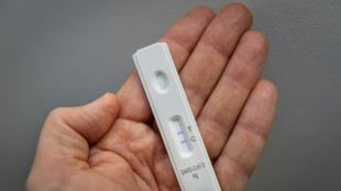 Knapp 40 Prozent der Betriebe im Januar von Arbeitsausf&auml;llen betroffen