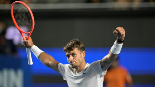 Cobolli y Tiafoe se clasifican a las semifinales del torneo ATP de Acapulco